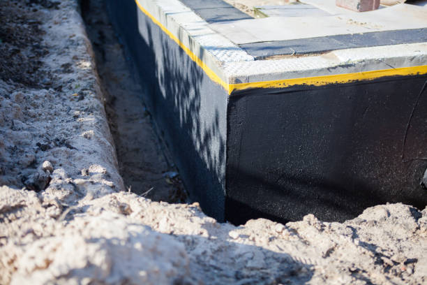 Professional Wet Basement Repair technician working in Wartrace, TN